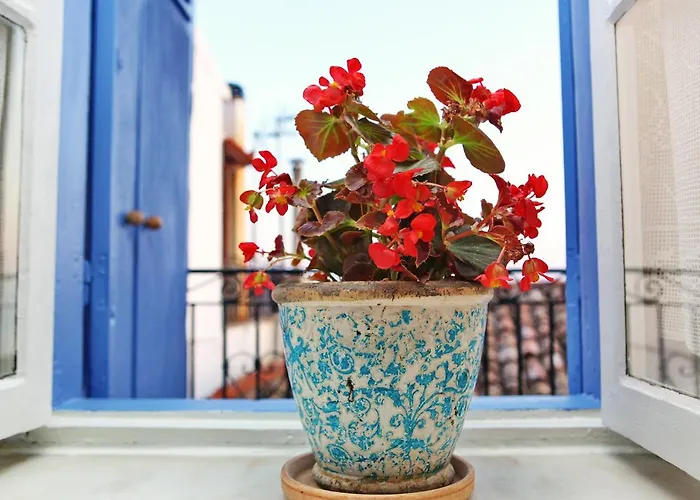 Rodia House